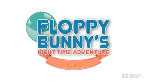 Floppy Bunny's Night Time Adventure - The Life Stage Series