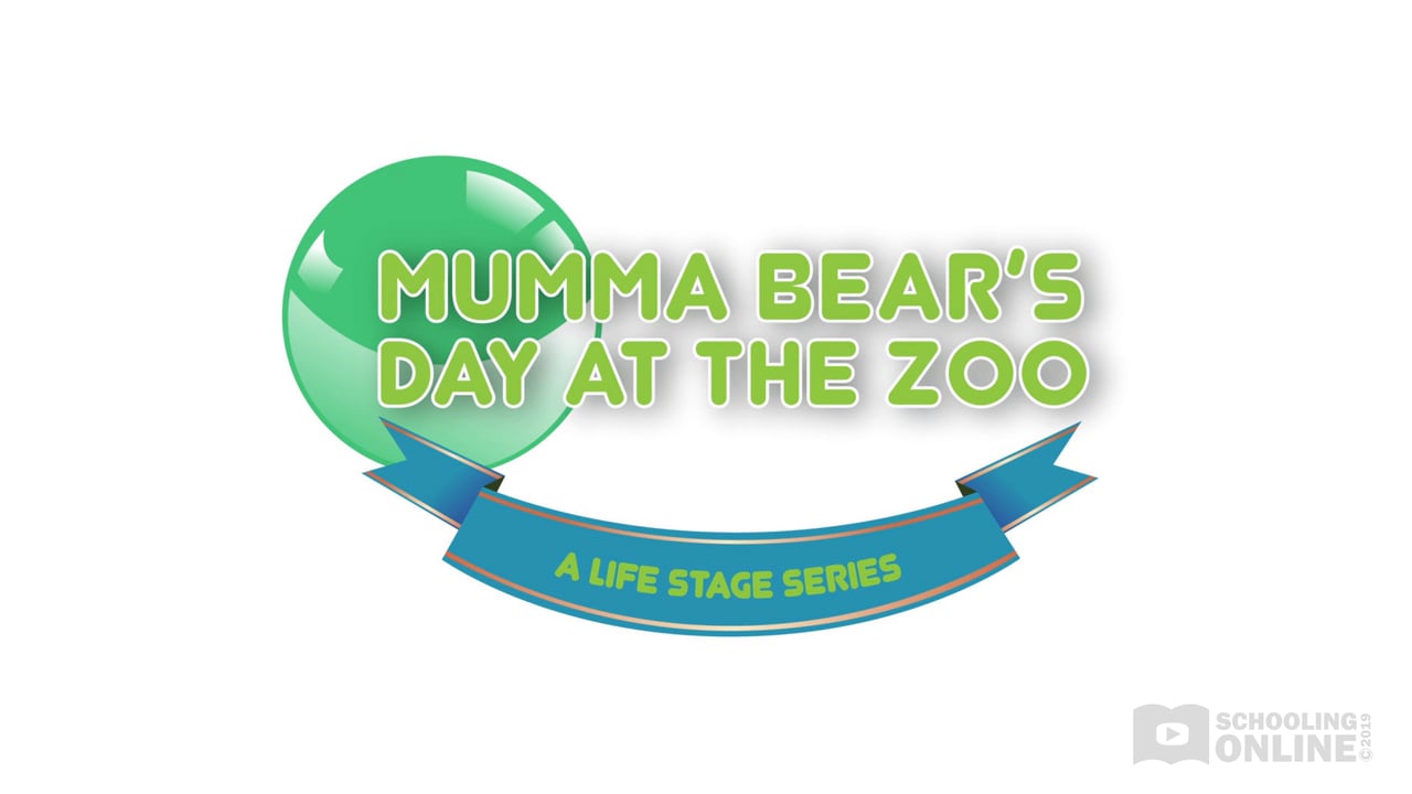 Mumma Bear's Day at the Zoo - The Life Stage Series