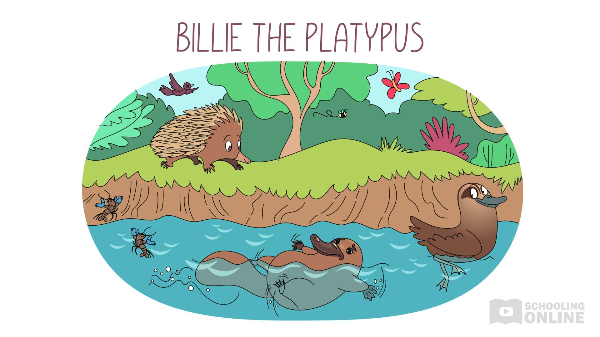 Living World 3 - Billie the Platypus