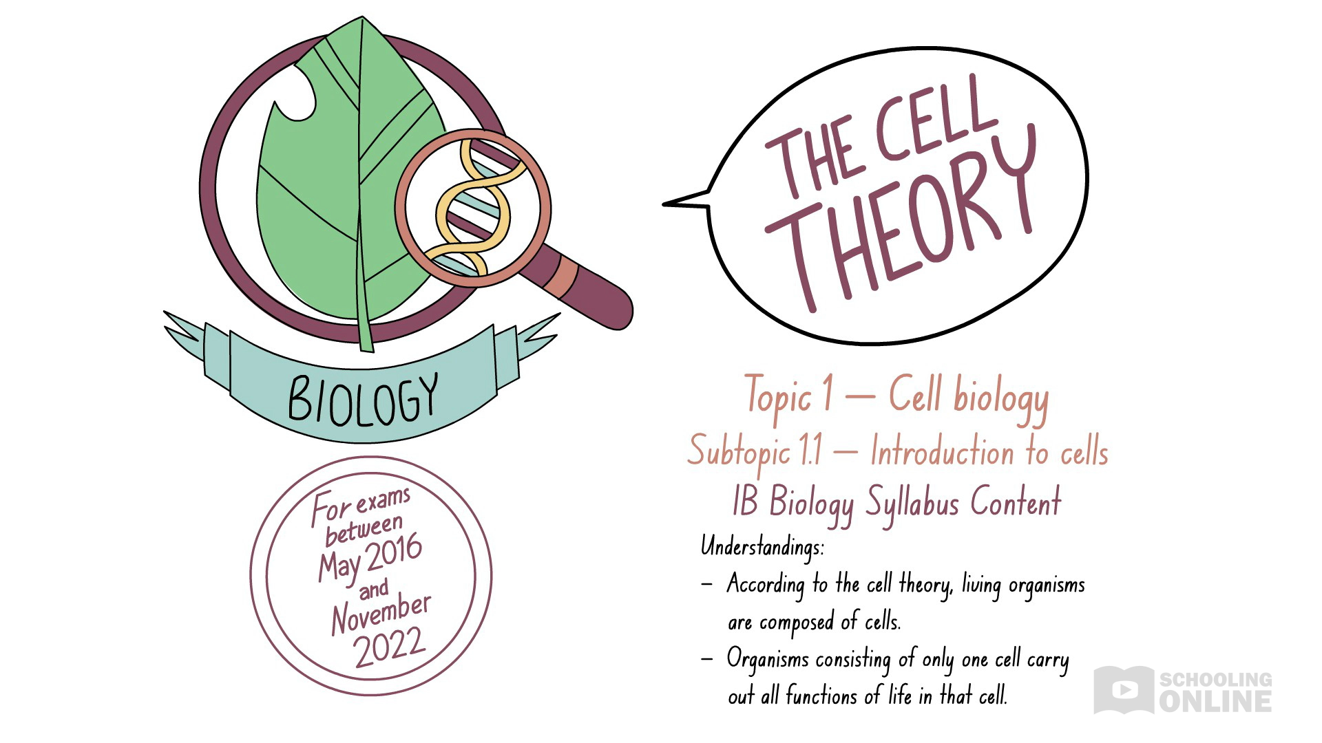 hypothesis ib biology