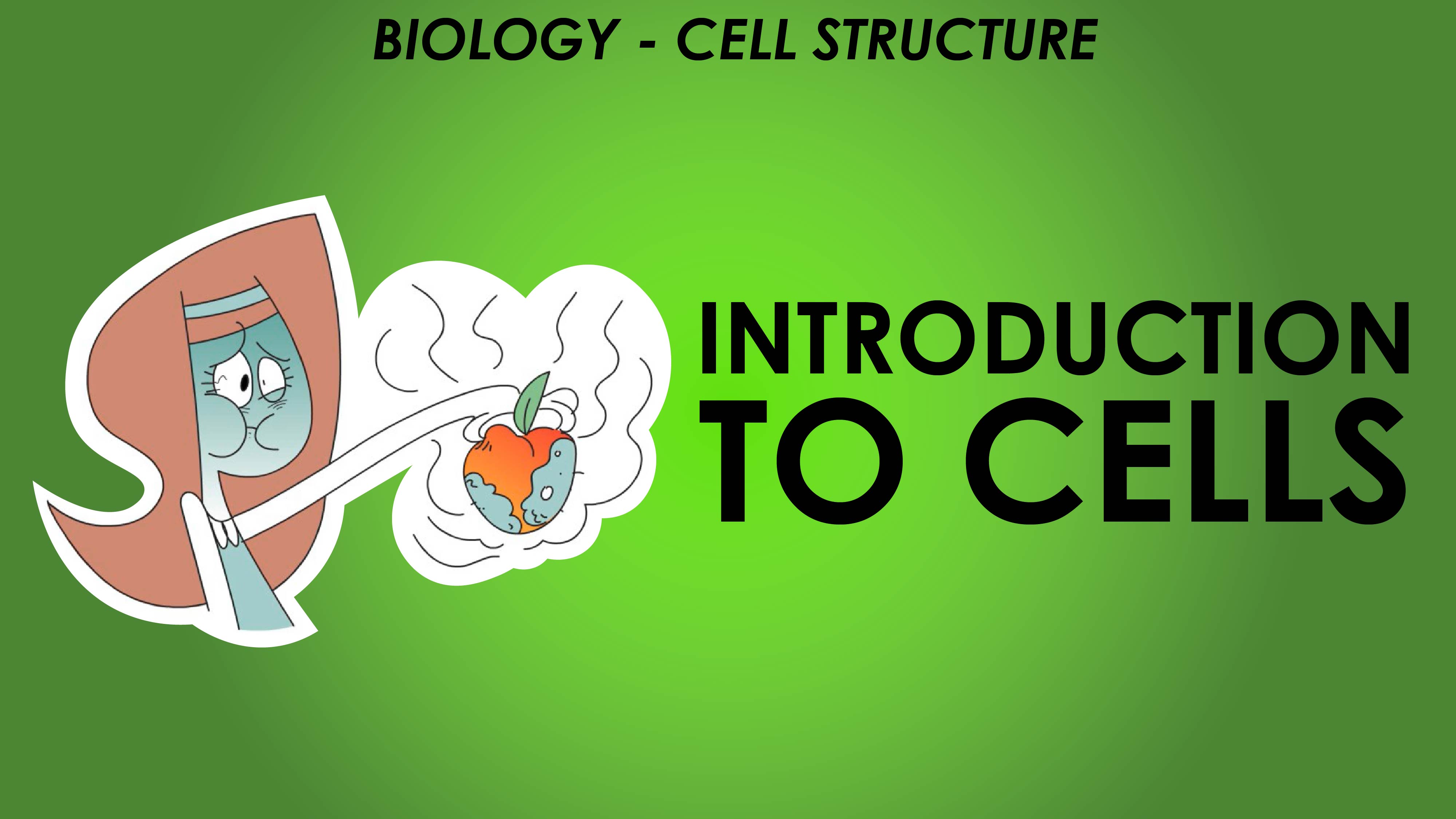 Introduction to Cells - Cell Structure