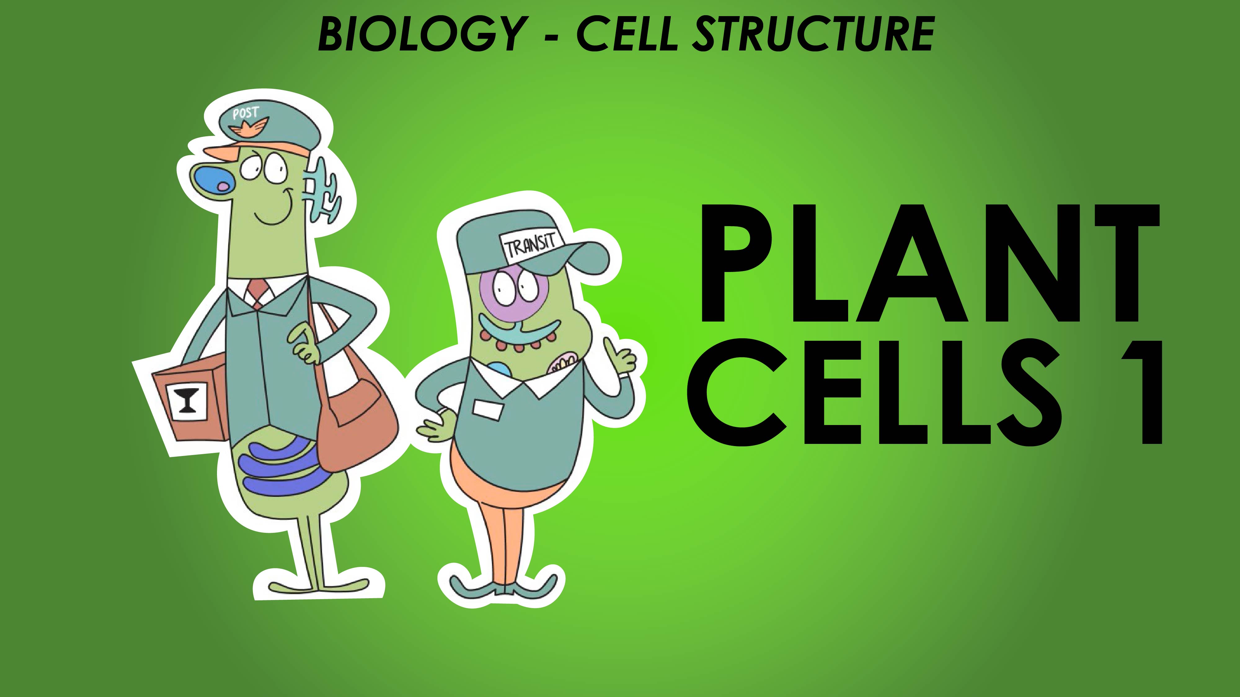Plant Cells 1 - Cell Structure