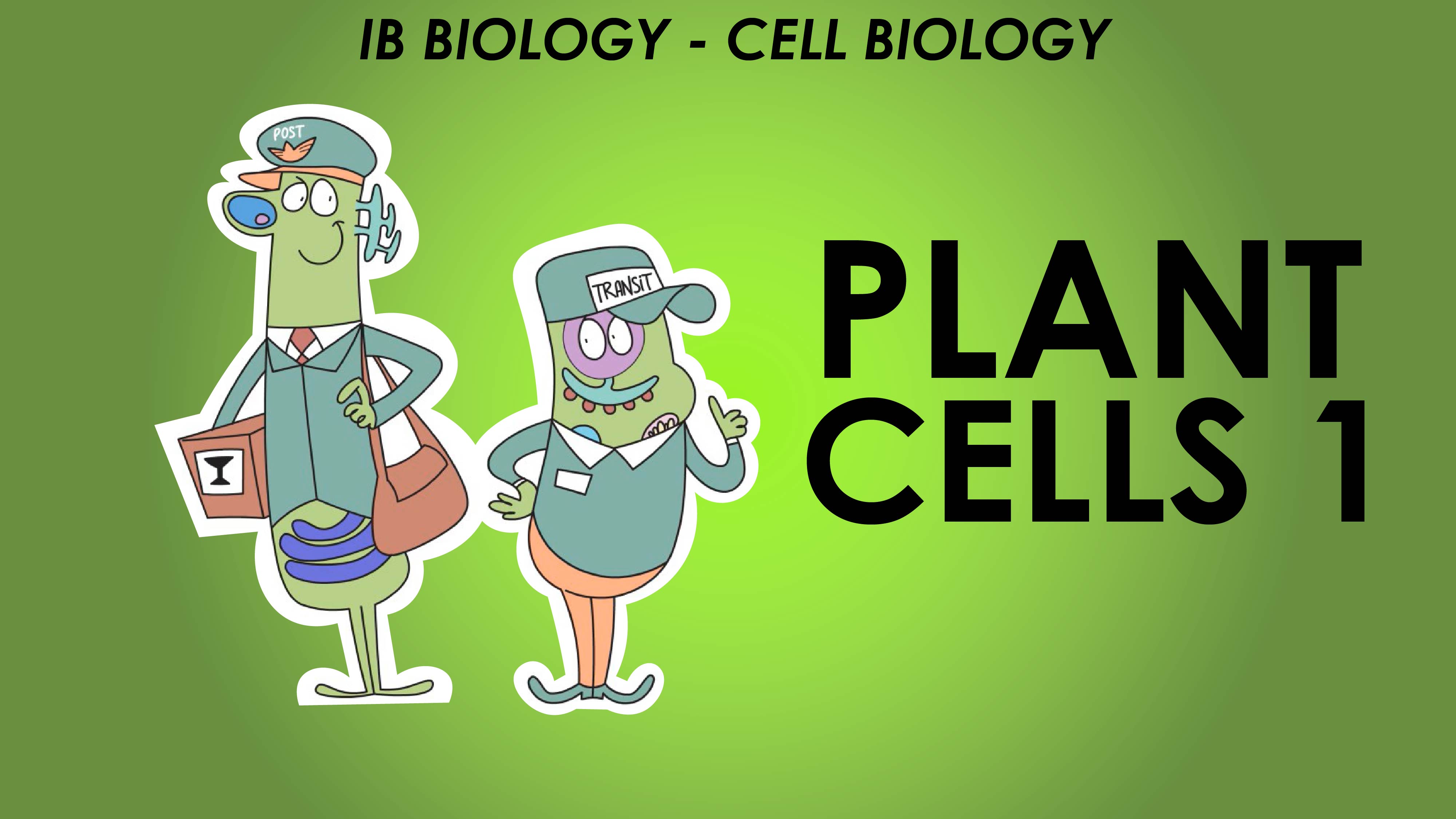 IB Cell Biology - Plant Cells 1 