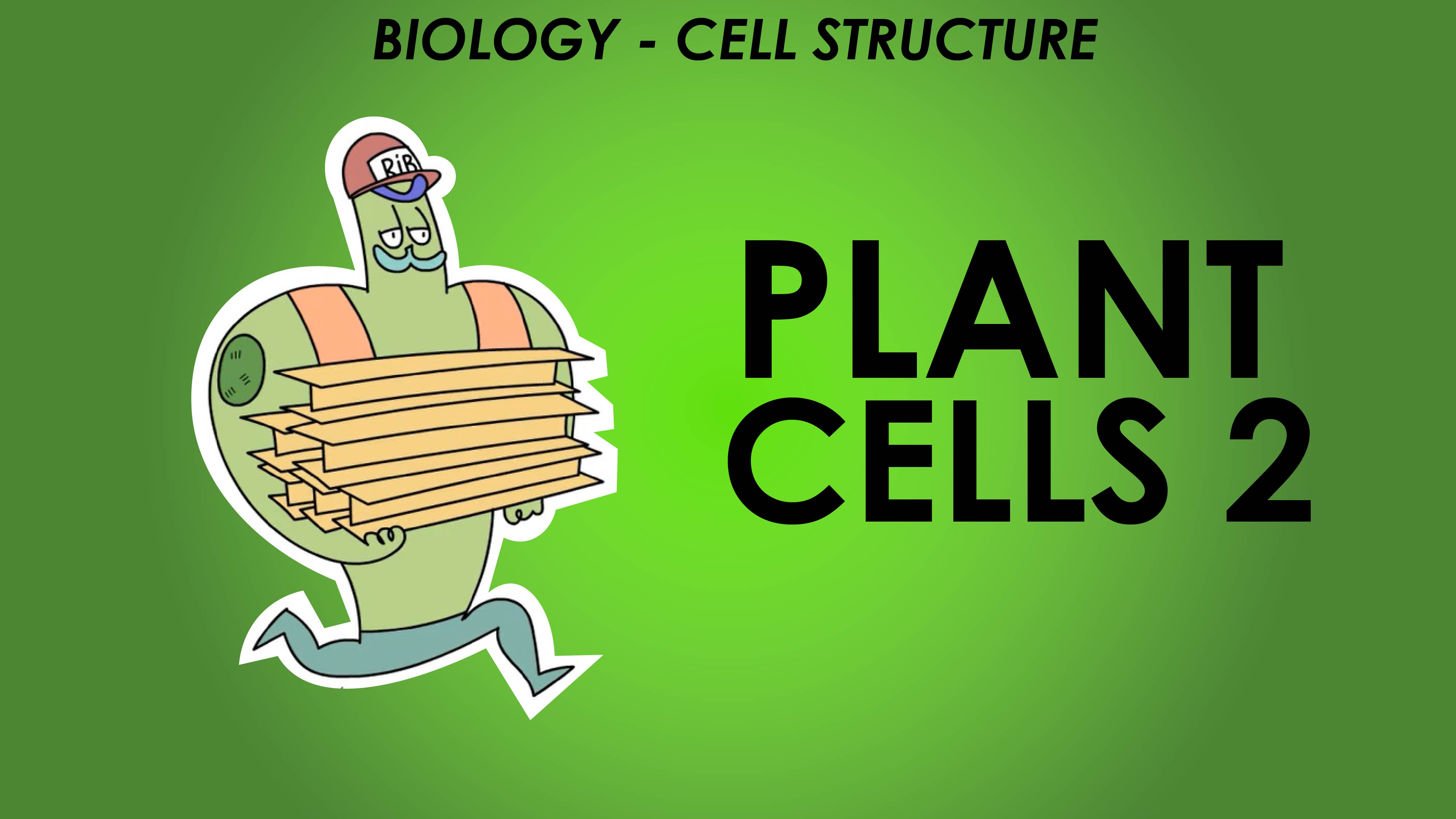 Plant Cells 2 - Cell Structure