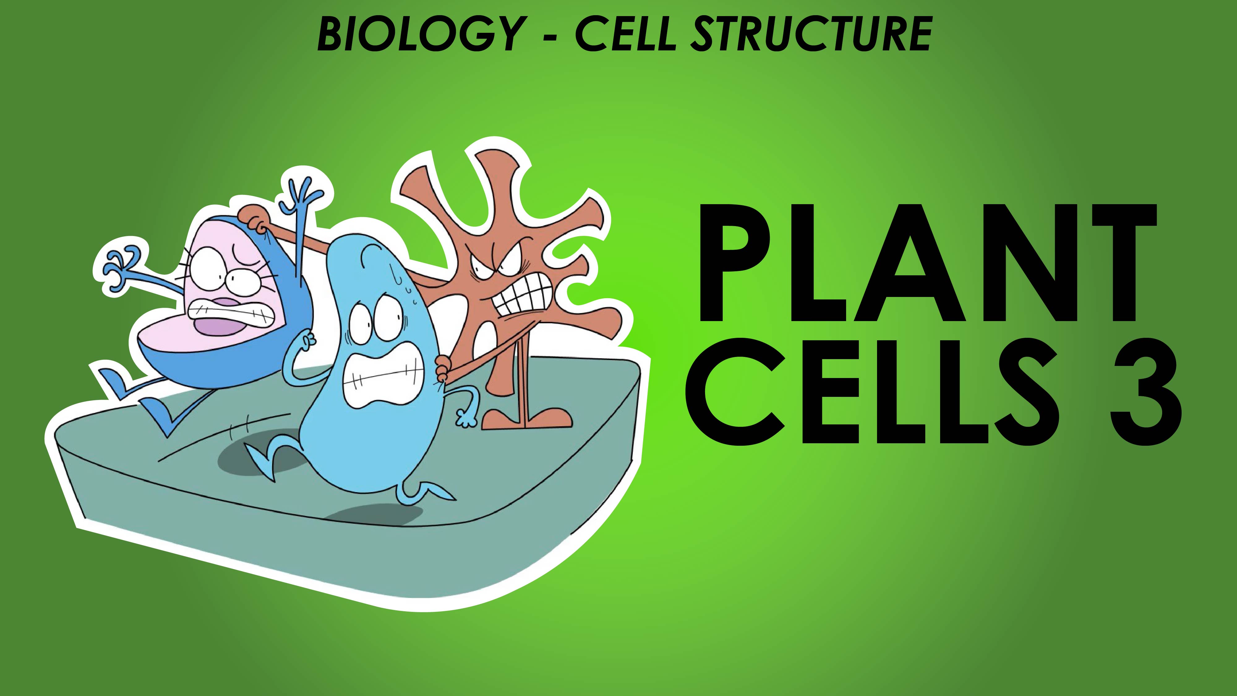 Plant Cells 3 - Cell Structure