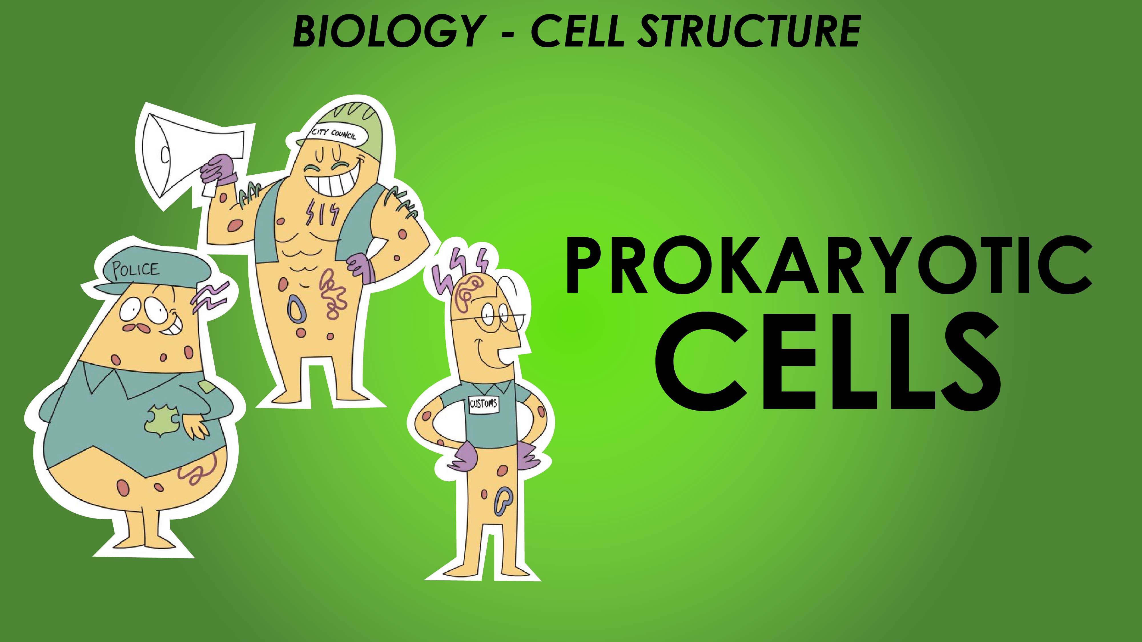 Prokaryotic Cells - Cell Structure