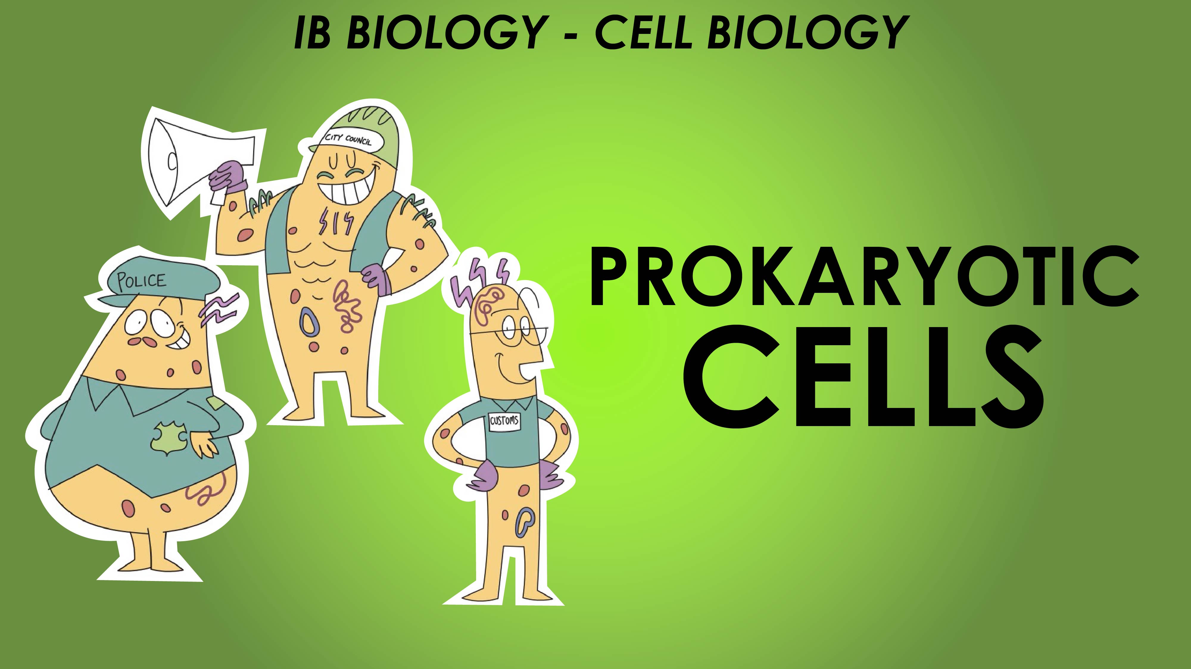 IB Cell Biology - Prokaryotic Cells