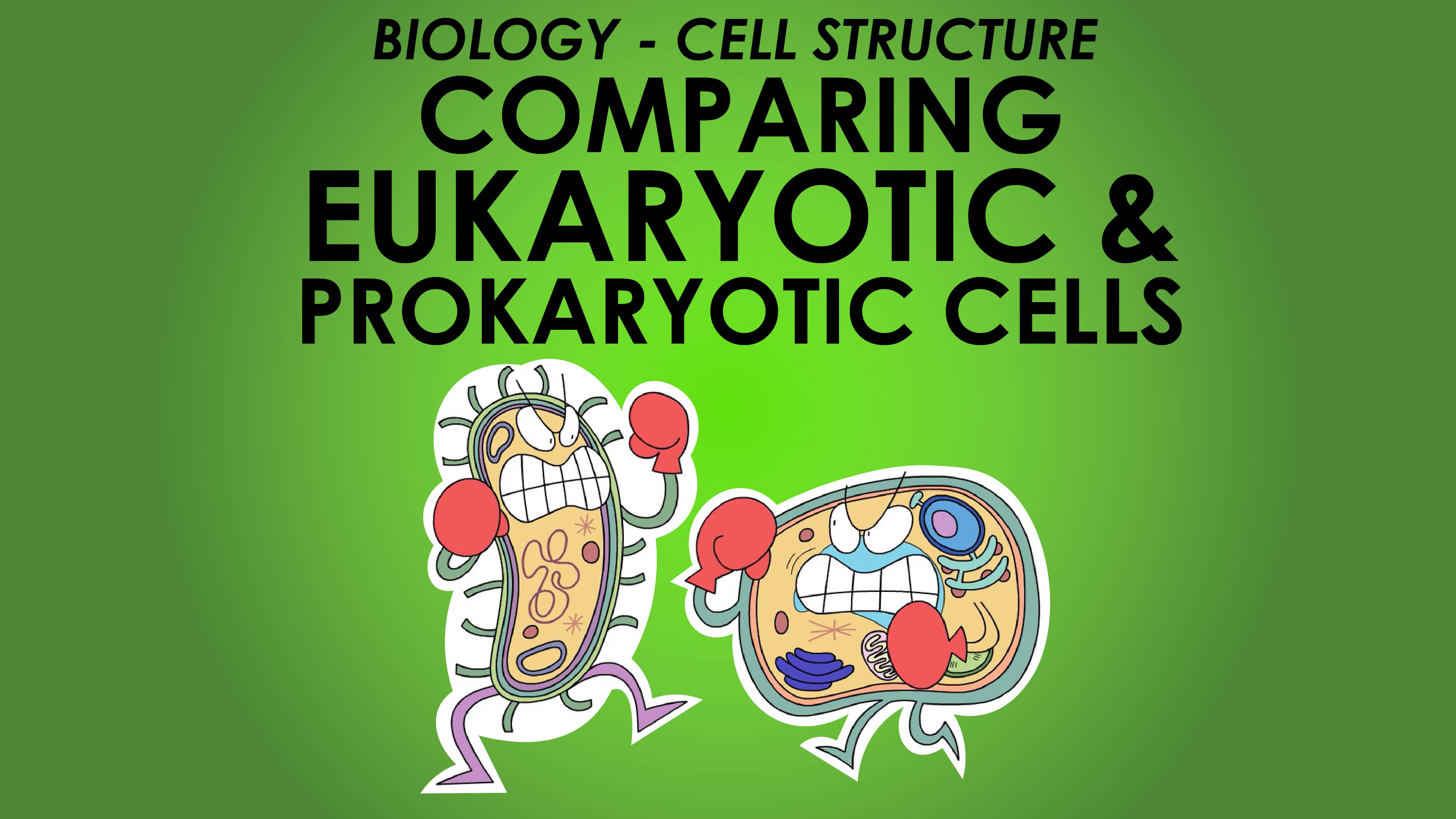 Comparing Prokaryotic and Eukaryotic Cells - Cell Structure