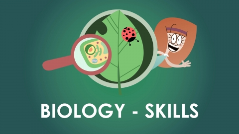HSC Biology - Biology Skills