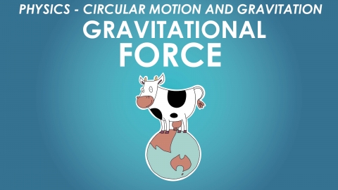 IB Gravitational Force