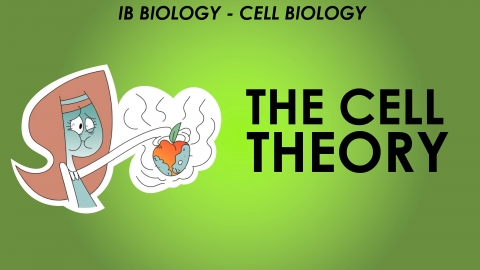 IB Cell Biology - The Cell Theory 