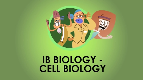 IB Biology SL - Cell Biology