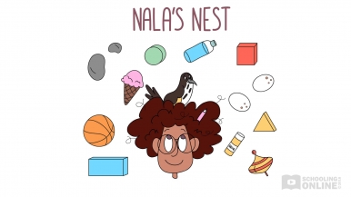 Physical World 1 - Nala's Nest