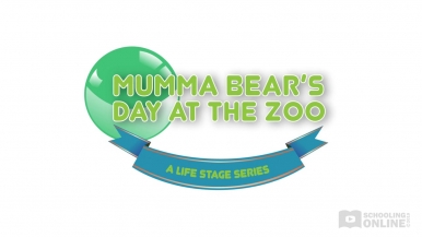Mumma Bear's Day at the Zoo - The Life Stage Series