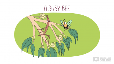 Living World 7 - A Busy Bee 