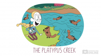 Living World 2 - The Platypus Creek