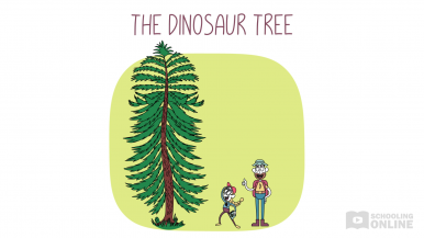 Living World 1 - The Dinosaur Tree